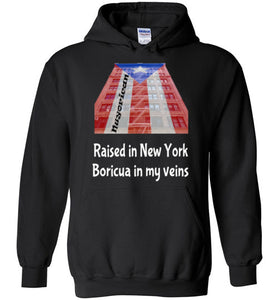 PR Flag NY Fire Escape Building Black H